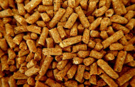 Medienos granulių pasirinkimas bei granulinių katilų priežiūra