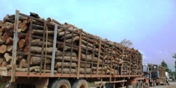 Kuo seimo nariams nusikalto perdibėjai?