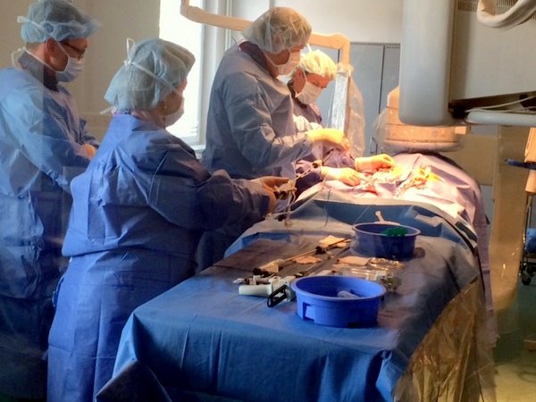 Pirmą kartą Lietuvoje implantuota naujos kartos dirbtinė aorta