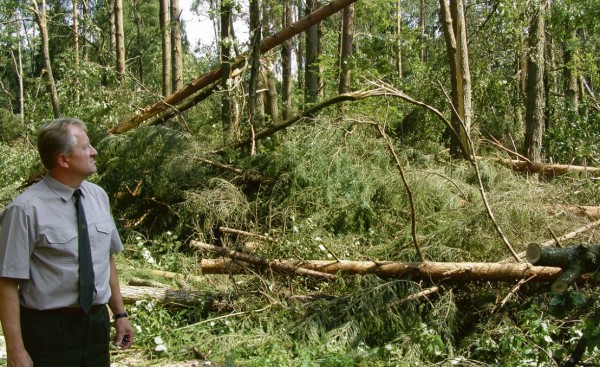 Miškus krečia ne tik politinės audros, bet ir stichija
