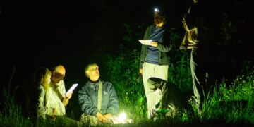 Renginyje – sutemose paskendusių pievų paslaptys