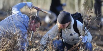 Įgyvendintus ES projektus žymės daugiau kaip 1500 ąžuolų giraitė