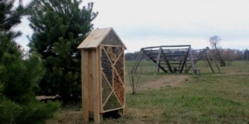 Žagarės regioniniame parke – vabzdžių viešbutis