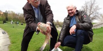 Į Senvagę įleisti baltieji amūrai