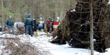 Bepiločiai orlaiviai Lietuvos miškuose ieškos samanės gamintojų