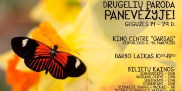 „Garse“ – įspūdinga gyvų tropinių drugelių paroda