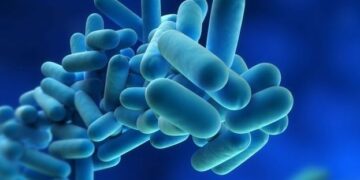 AB „Panevėžio energija“ pasirūpins legioneliozės prevencija