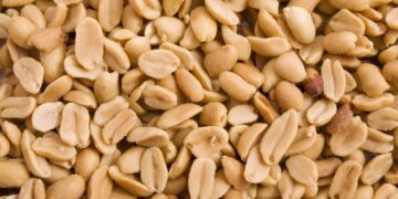 Mokslininkai tyrė riešutų ir alergijos sąryšį: viskas priklauso nuo apdorojimo būdo?