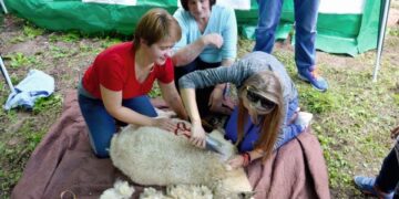 Vilnos karšėjai žada išbandyti vilnonę pirtelę