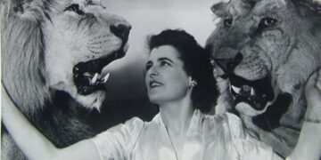 Panevėžio gimtadienyje – moderniai pateiktas vintažinis cirkas filme „Viskas dėl šou“