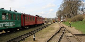 Panevėžio miesto savivaldybė nori tapti siauruko dalininke