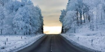 Kelininkų darbą bus galima stebėti internete