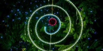 Kalėdinę eglę Panevėžiui šiemet dovanoja verslas