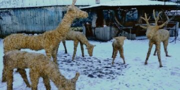 Prie prakartėlės  susirinks ir miško gyvūnai