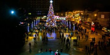 Panevėžiečiai miesto egle galės džiaugtis iki vasario