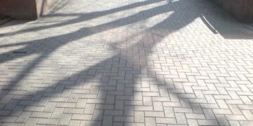 Sausio 16-ąją Savivaldybėje – vieša apklausa