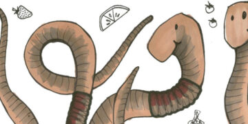 Kam šypsosi sliekai