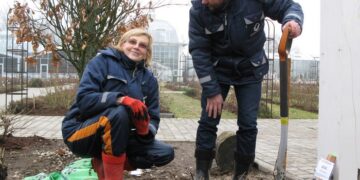 Istorinę pergolę apsivis raganių kolekcija