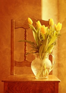 tulip-bouquet-1715054_1280