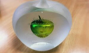 Išrinktas „Sveikatos ambasadorius 2016“