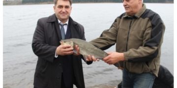 Į Kupiškio marias įleistas 31 salatis