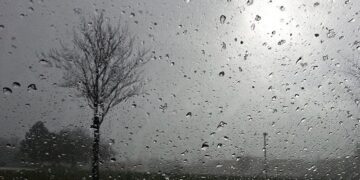 Sinoptiko komentaras