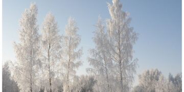 Panevėžio mieste rekomenduojama atšaukti gripo epidemiją