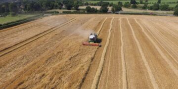 Žemės ūkio rūmų Taryba: B. Markausko situacijoje gali būti didžioji dalis ūkininkų