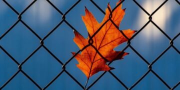 Modernizuotos pataisos įstaigos – geresnės sąlygos resocializacijai ir rizikų valdymui