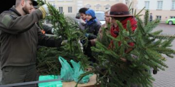 Akcijos „Parsinešk Kalėdas į savo namus” metu išdalinta tūkstančiai nemokamų eglučių šakų ir 10 tonų kankorėžių