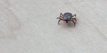 erkės panevėžio r