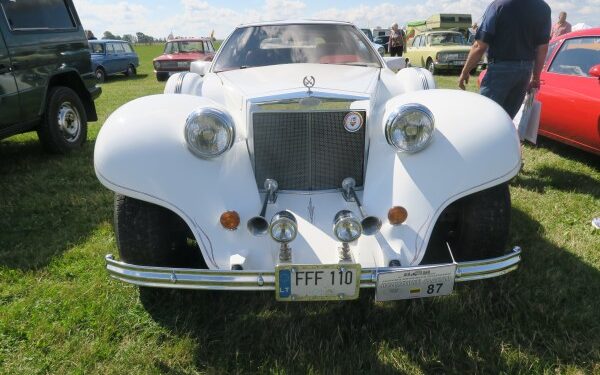 Senovinės technikos suvažiavime "Nesenstananti klasika" buvo pademonstruoti vienetiniai automobiliai