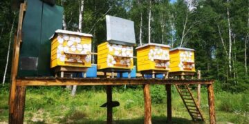 Šiųmetis konkursas „Metų ūkis“ Kupiškio rajone