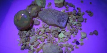 Tai, ko nematome „plika akimi“: švytintys sakai ir gintarai