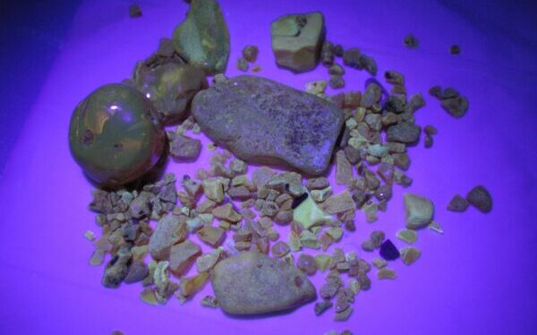 Gintaras UV šviesoje