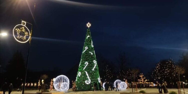 Kalėdų eglė Panevėžyje 2021 m.