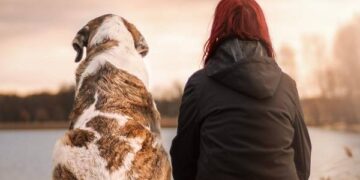 Gyvūnų prekės – nustebinkite savo augintinį