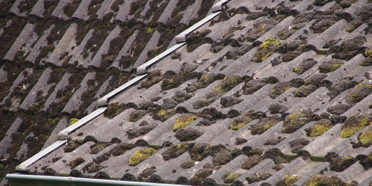 Asociatyvi / piqsels.com nuotr.