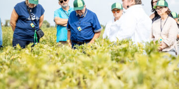 Žemdirbiai ir mokslininkai ieško būdų „prisijaukinti“ klimato kaitą Lietuvoje