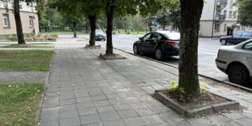 Zarasuose numatomi Šiaulių gatvės šaligatvių remonto darbai