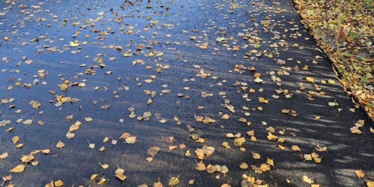 Išasfaltuotos dar kelios Rokiškio gatvės | R.Keliuotytės nuotr.