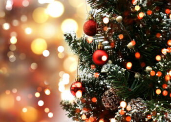 Kalėdų eglė Širvintose šiemet ir vėl bus išskirtinė, įžiebimo šventė – gruodžio 1 dieną