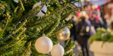 Didžiųjų metų švenčių dvasia atkeliauja į Panevėžį – eglės įžiebimo šventė jau šį penktadienį!