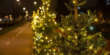 Panevėžys šiemet spindi Kalėdų šviesoje: miestą puošia išskirtinės eglučių kompozicijos