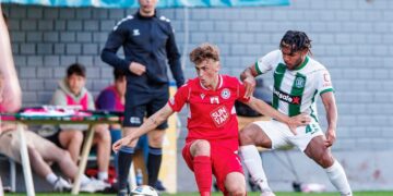 N. Lukšys iš FK „Panevėžio“ išnuomotas „Sūduvai“