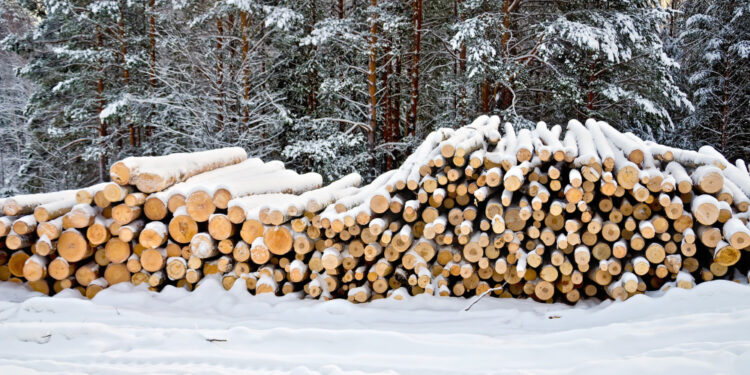 Asociatyvi nuotr. | Freepik