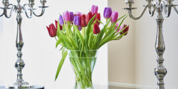 Į vazą su tulpėmis nedėkit nei monetų, nei cukraus: štai kas iš tikrųjų padės gėlėms ilgai išlikti tvirtoms ir šviežioms