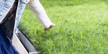 Miškininkai primena: liko savaitė užsiregistruoti į pirmąją Lietuvos istorijoje Miškininkystės olimpiadą „Mes – miškui, miškas – visiems“