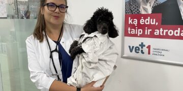 Įspėjimas augintinių šeimininkams – mieste paliktos augintinių „dovanėlės“ gali ir paploninti piniginę