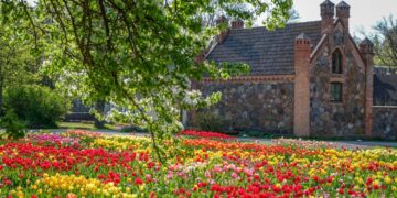Tradicija tęsiasi – Burbiškio dvaro Tulpių žydėjimo šventė vyks 24-ą kartą